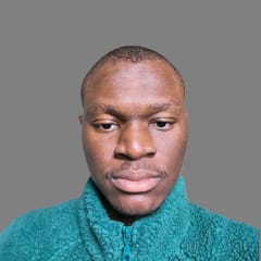 Avatar of Faride ILANDA.