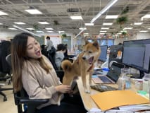 Work environment image