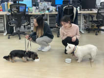 Work environment image