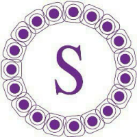 Logo of CÔNG TY TNHH SIRI LOGISTICS.