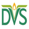 Logo of PT. Dewata Vulcanindo Suryajaya.