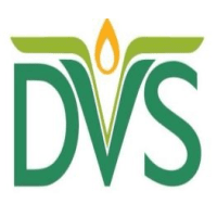 Logo of PT. Dewata Vulcanindo Suryajaya.