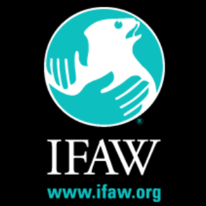 ifaw.jpg