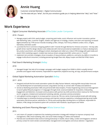 Technology Resume Samples Cakeresume