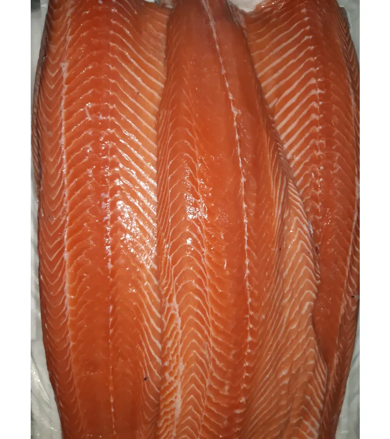 Salmón Filete