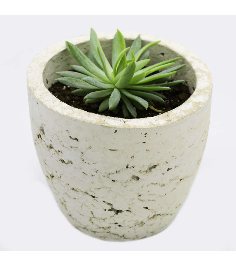 Macetero Papel Reciclado R4