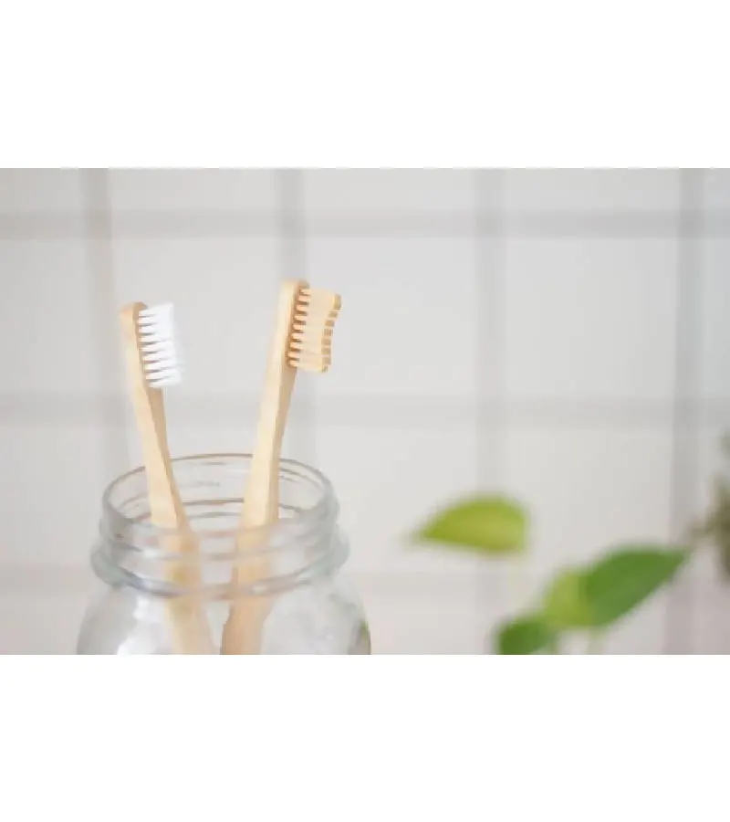 Cepillos Diente Bamboo