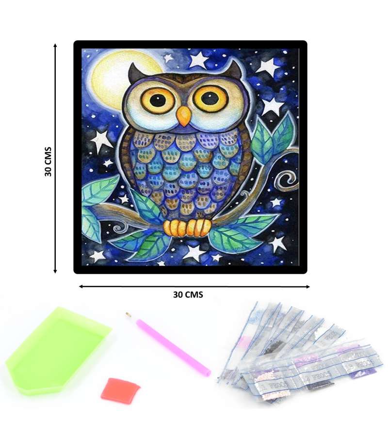 Pintura De Diamantes Diamond Painting Buho 30x30cms