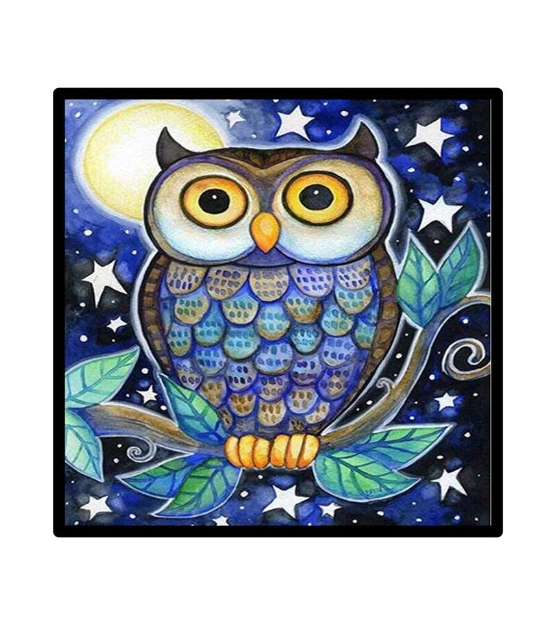 Pintura De Diamantes Diamond Painting Buho 30x30cms
