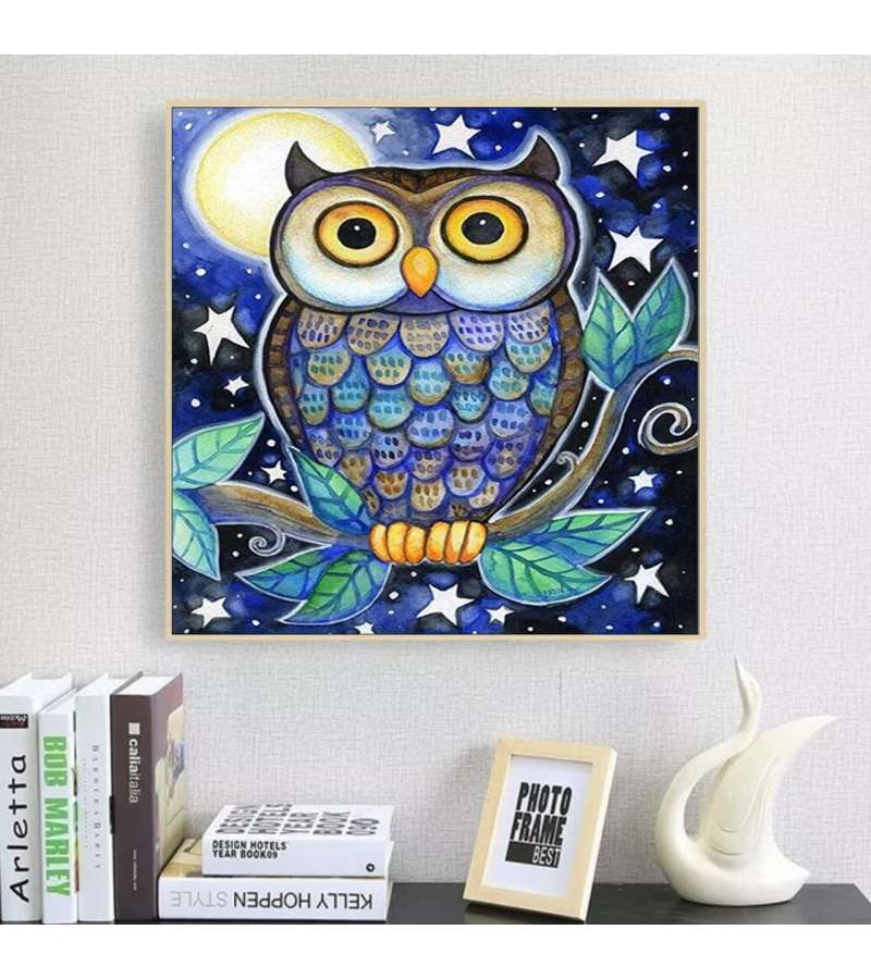 Pintura De Diamantes Diamond Painting Buho 30x30cms