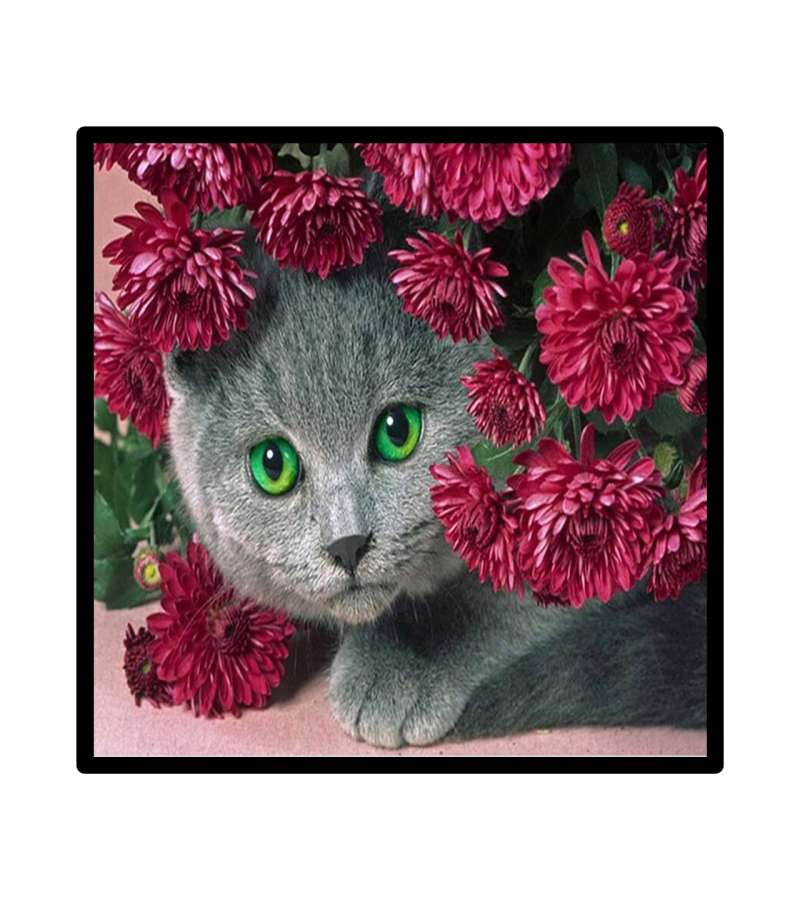 Pintura De Diamantes Diamond Painting Gato Floreado 30x30 Cms