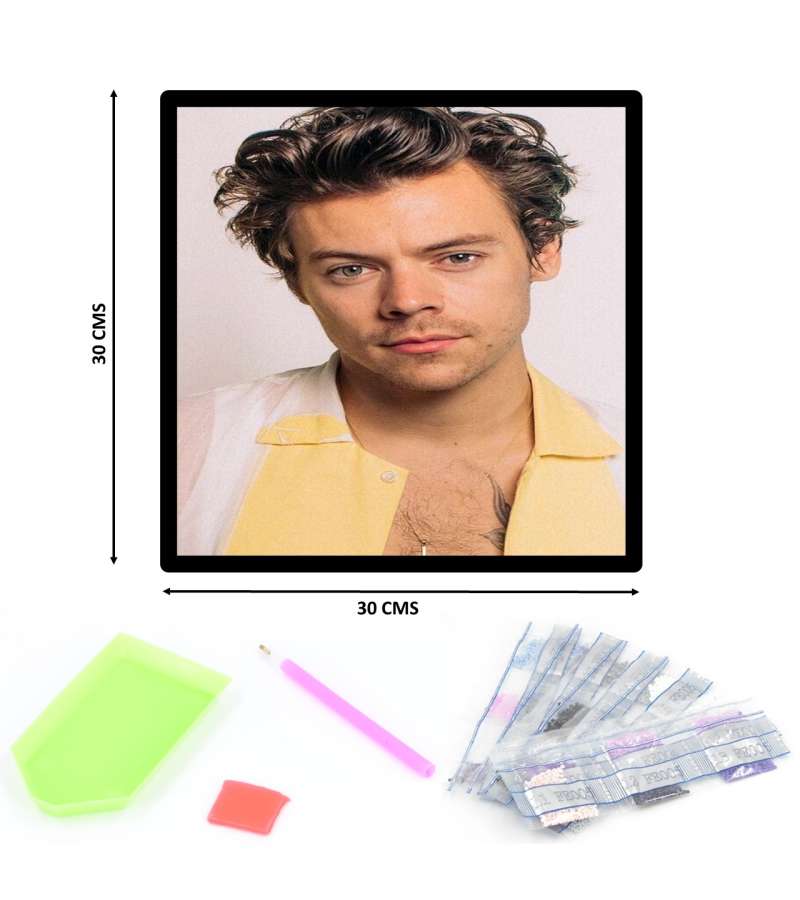 Pintura De Diamantes Diamond Painting Harry 30x30 Cms