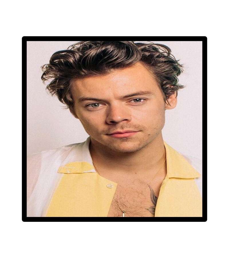 Pintura De Diamantes Diamond Painting Harry 30x30 Cms