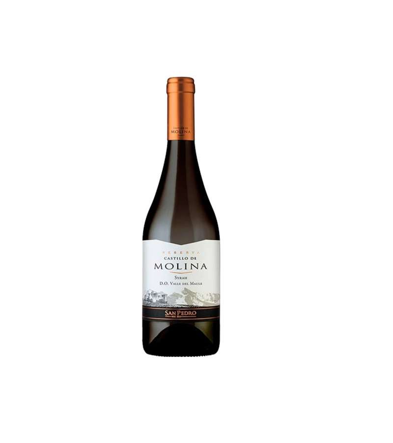 Castillo De Molina Syrah 6 Botellas