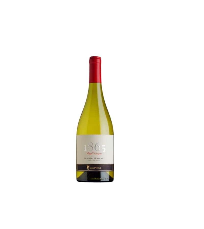 1865 Single Vineyard Sauvignon Blanc 6 Botellas