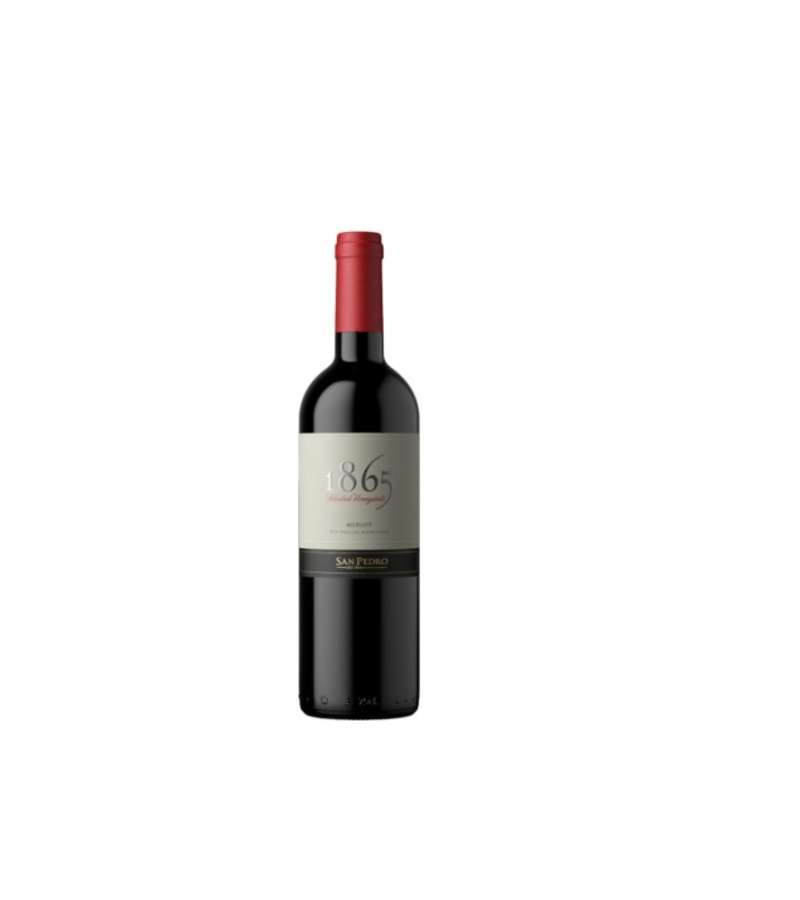 1865 Single Vineyard Merlot 6 Botellas