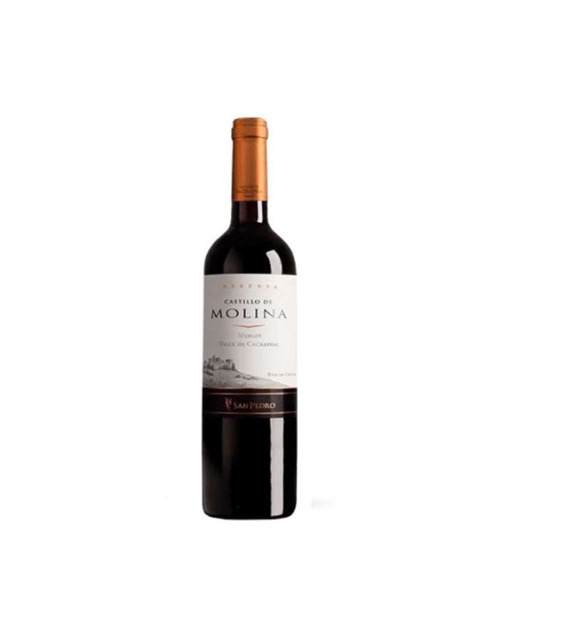 Castillo De Molina Merlot 6 Botellas