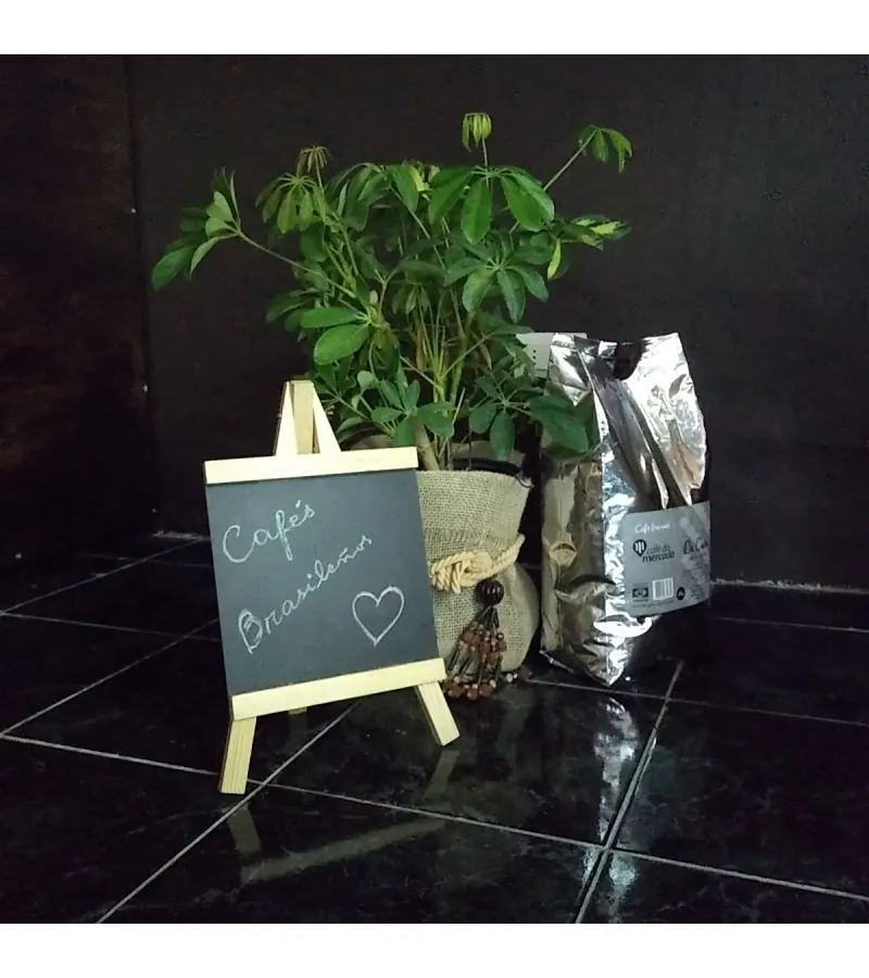 Café Gourmet Da Casa (blend) Grano 2 Kilos