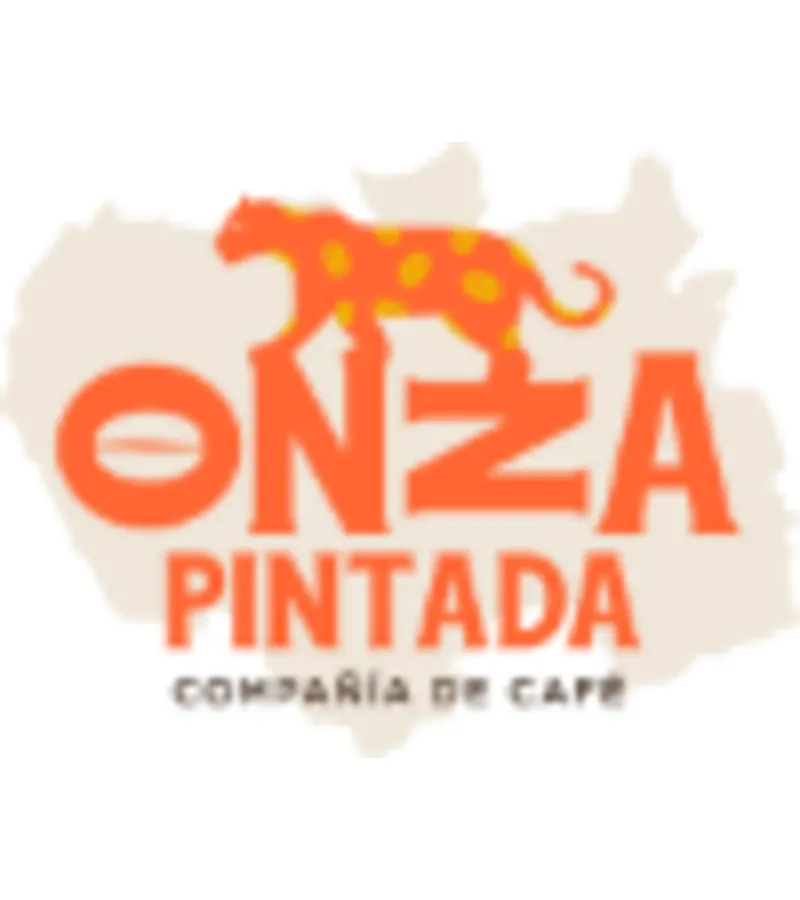 Café En Cápsulas Cafeeiro (blend)