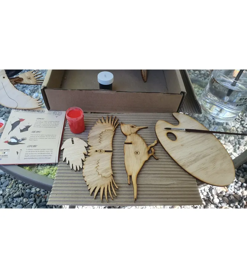 Pájaros De Madera Para Armar Y Pintar