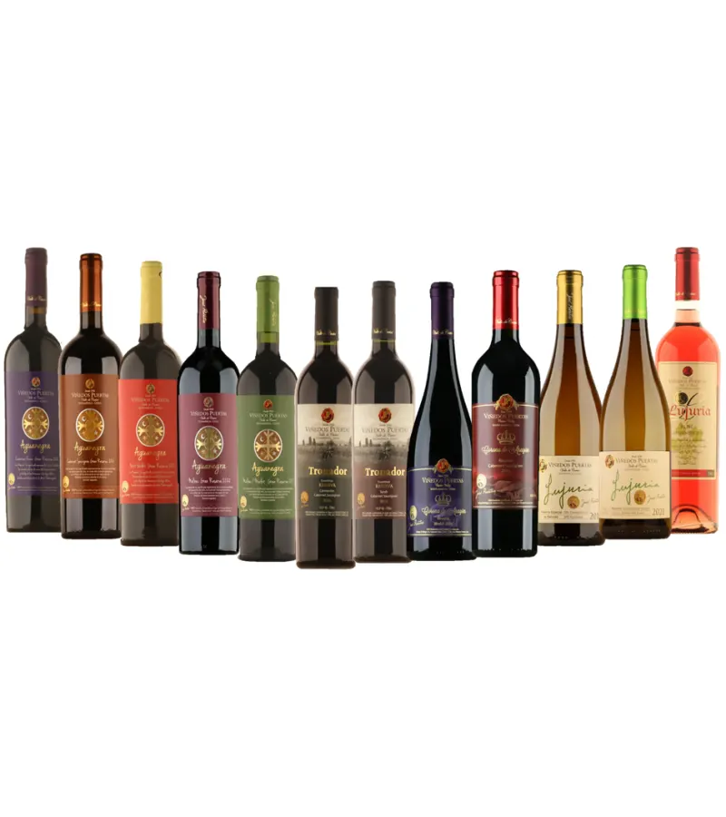 Pack 12 Vinos Gran Reserva Y Reserva Viñedos Puertas