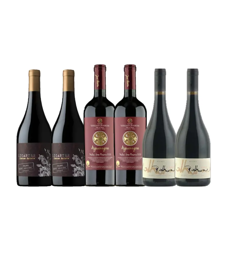 Pack 6 Vinos Selección Malbec