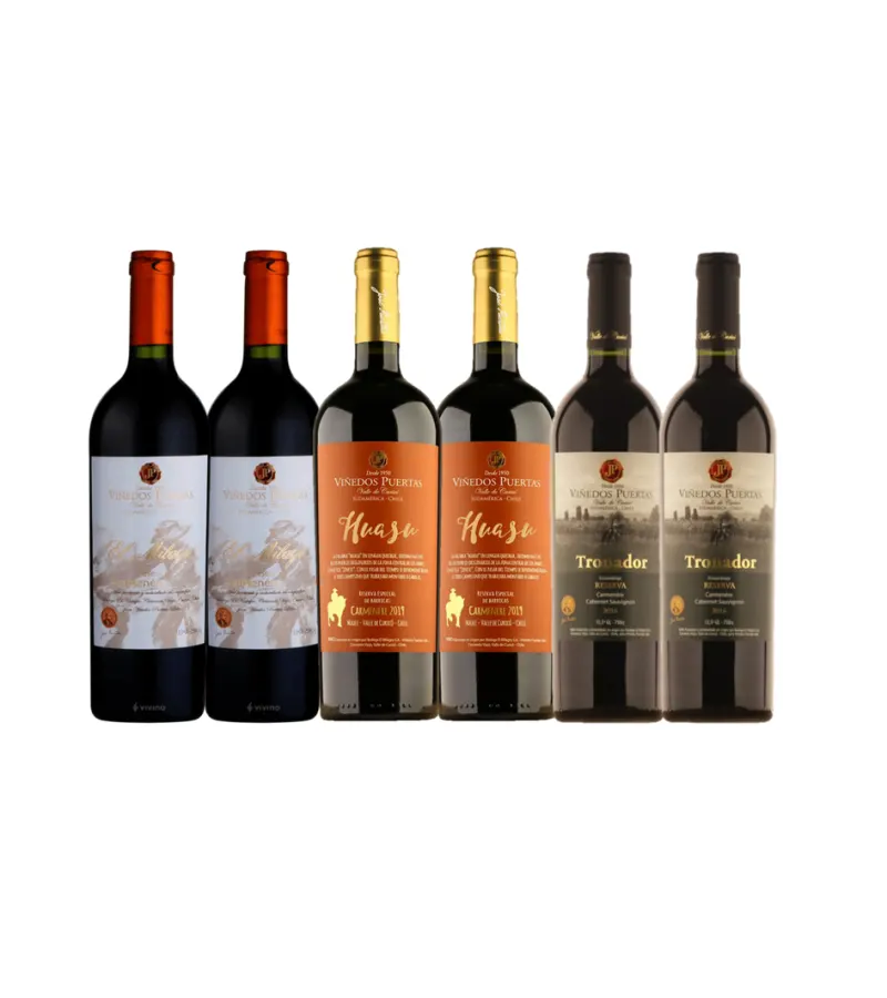 Pack 6 Vinos Selección Carmenere