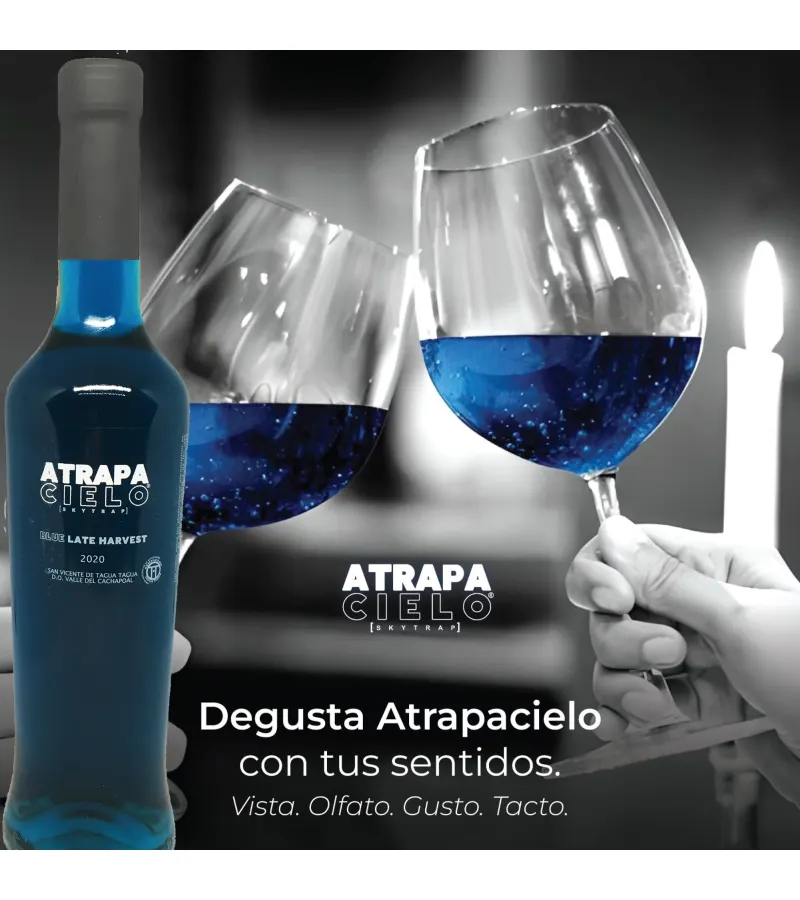 Vino Azul 2 Botellas 750ml En 2 Cajas Térmicas. Atrapacielo