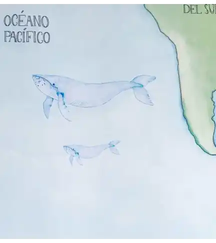Mapa Mundi