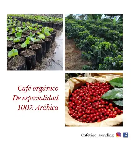 Café Chanchamayo PERÚ Formato 400 g - Orgánico de especialidad