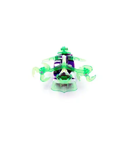BICHO GLADIADOR TOXITERA