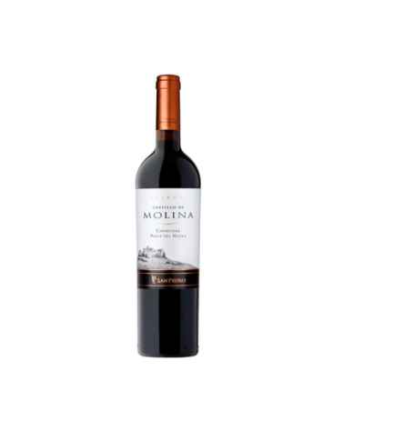 Castillo De Molina Carmenere 6 Botellas