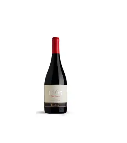 1865 Single Vineyard Syrah 6 Botellas