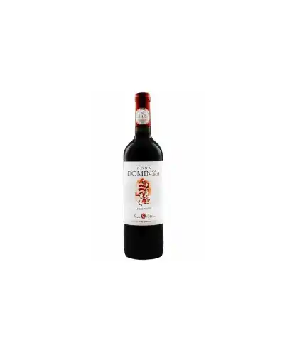 Casa Silva, Doña Dominga Entrada Merlot 12 Botellas