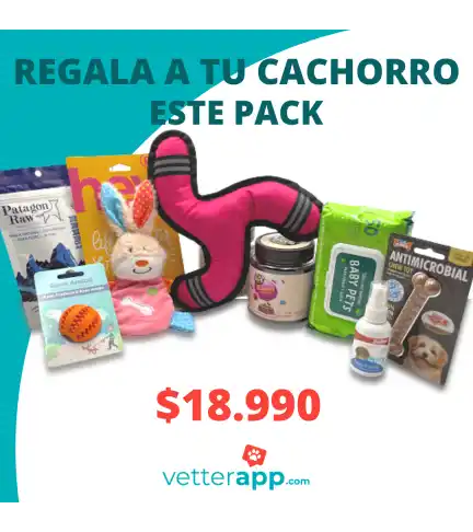 Caja temática perro cachorro