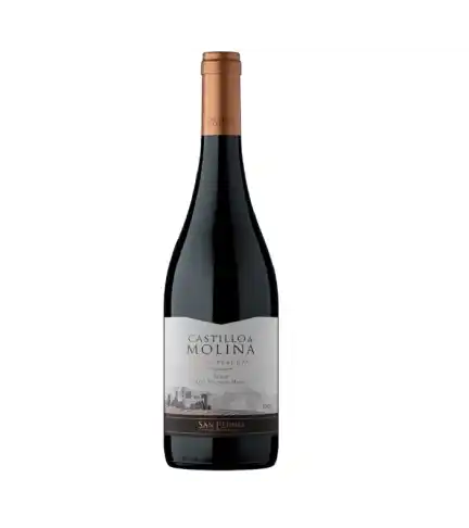 Castillo De Molina Syrah 12 Botellas