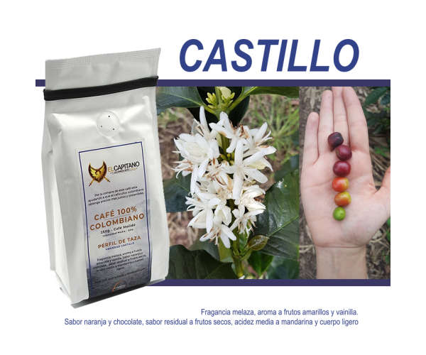 Variedad Castillo