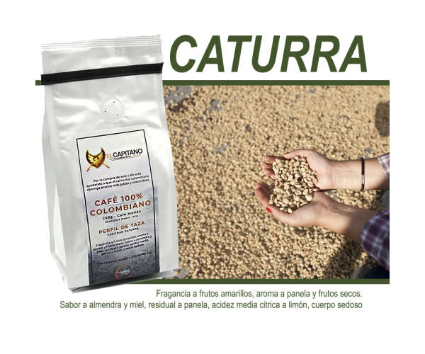 Variedad Caturra