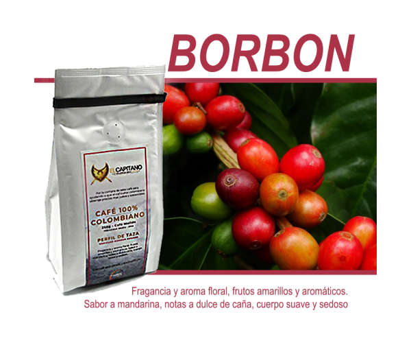 Variedad Borbon
