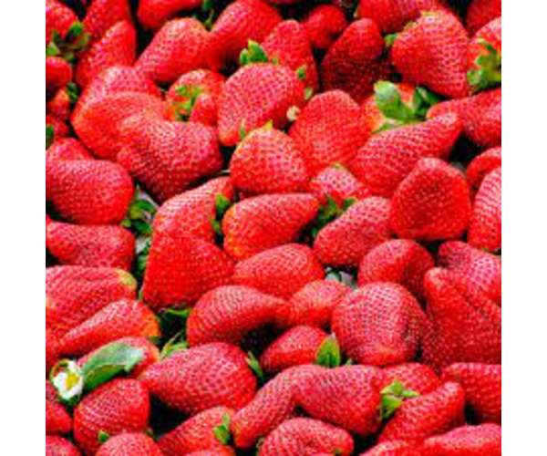 Frutillas