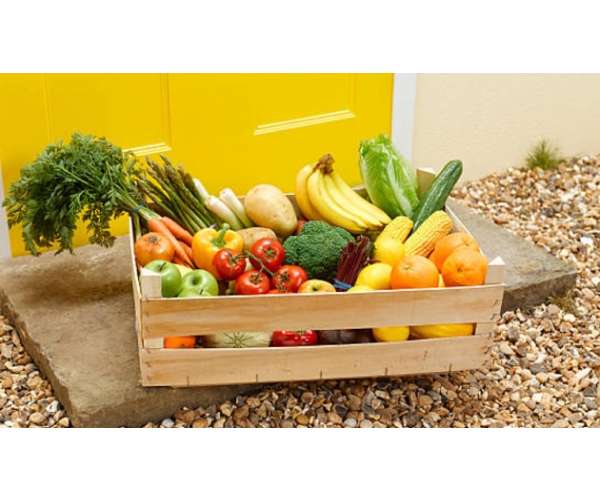 Canasta frutas y verduras