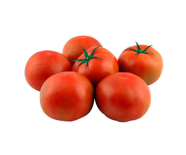 Tomate premium