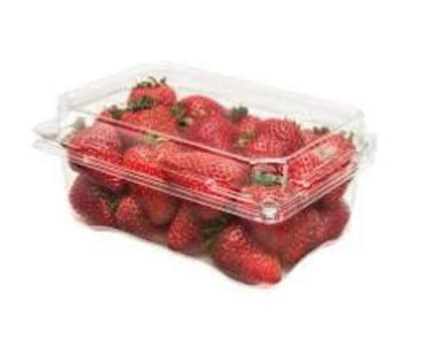 Frutilla