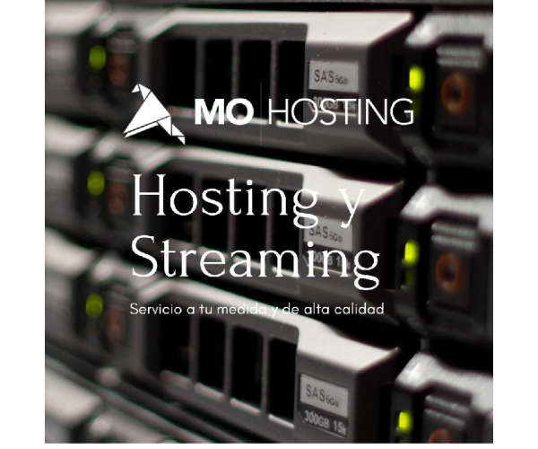 Servicio de Hosting Pyme