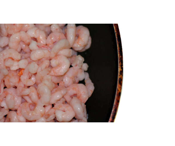 Camarones crudos
