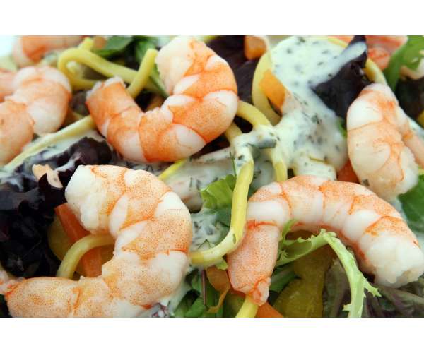 Camarones