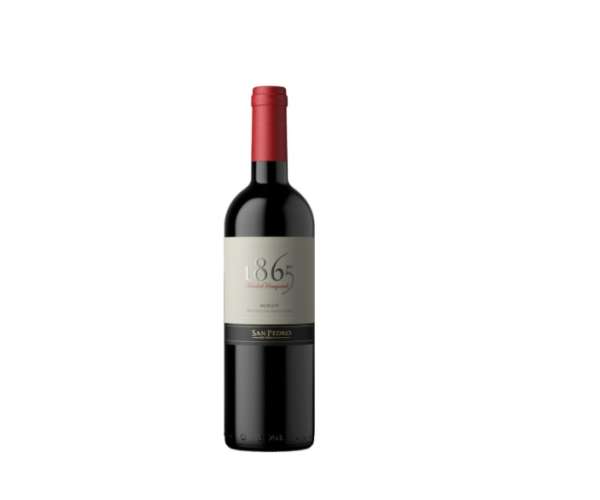 1865 Single Vineyard Merlot 6 Botellas