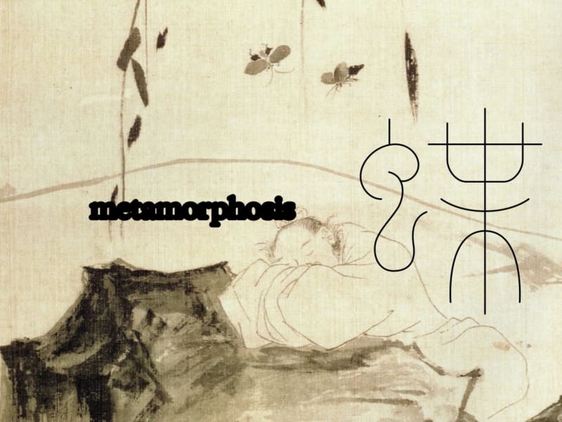 Metamorphosis