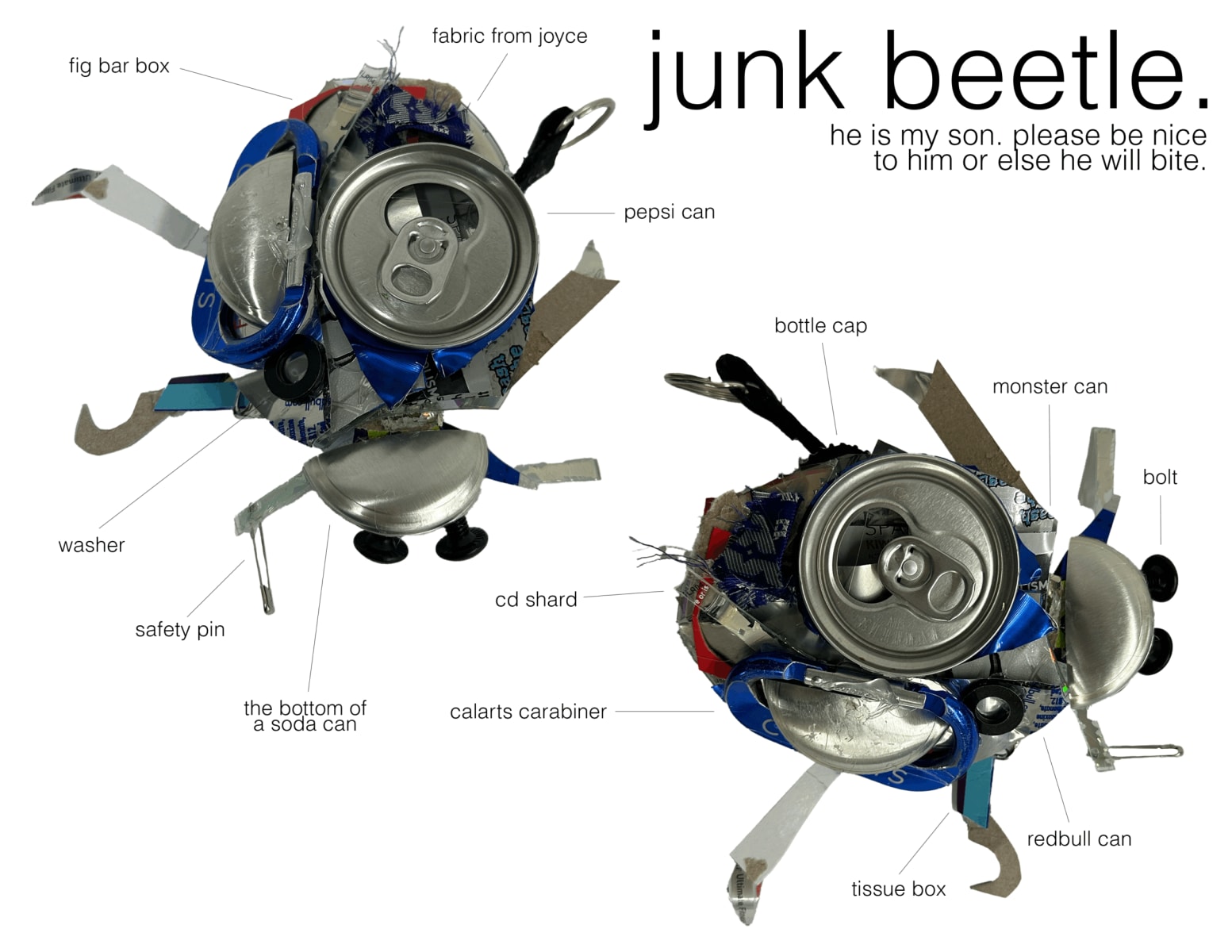 Beetles!