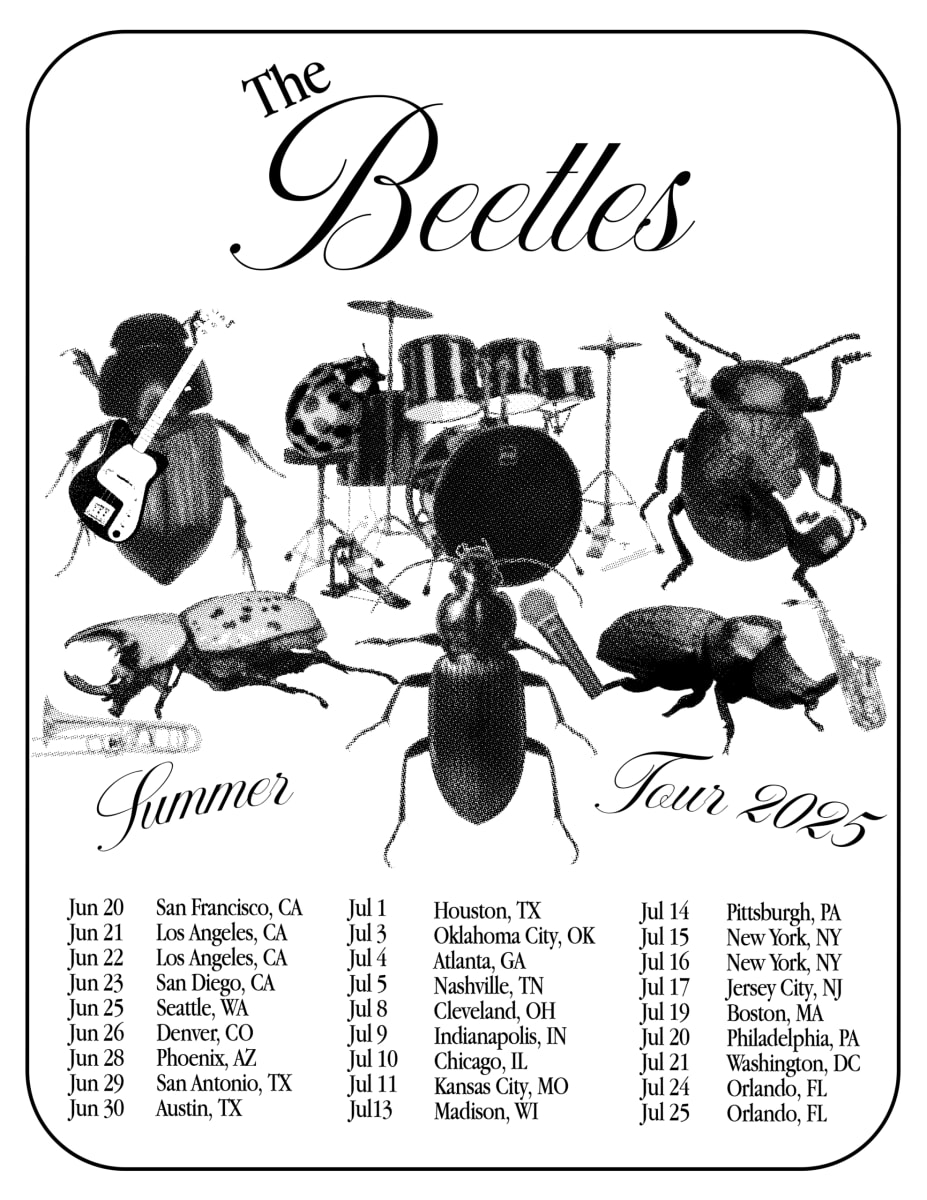 Beetles!